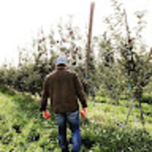 Meet your Posher, Jerry